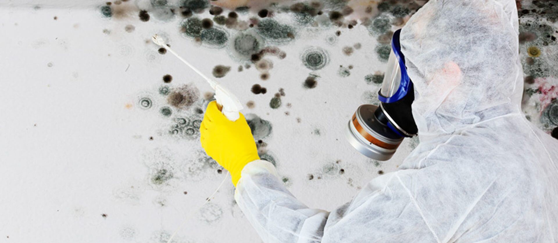 Professional Contractors Make Asbestos Inspection and Removal Simple